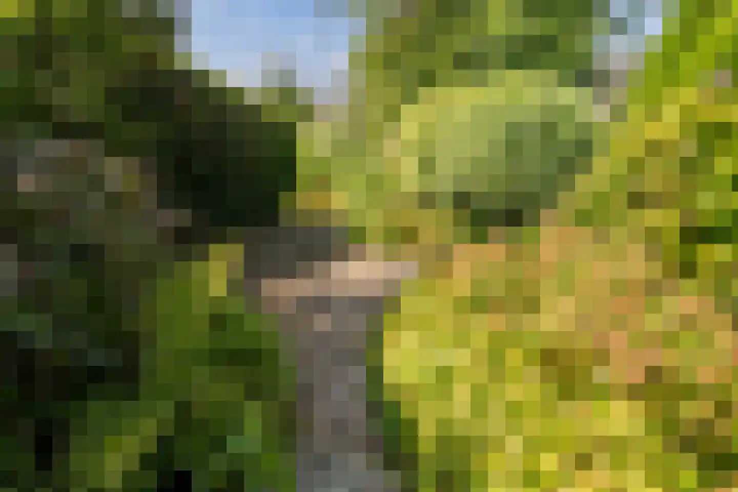 Weidezoom 3 Moordrecht thumbnail 54