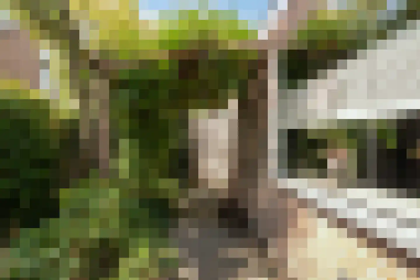 Weidezoom 3 Moordrecht thumbnail 55