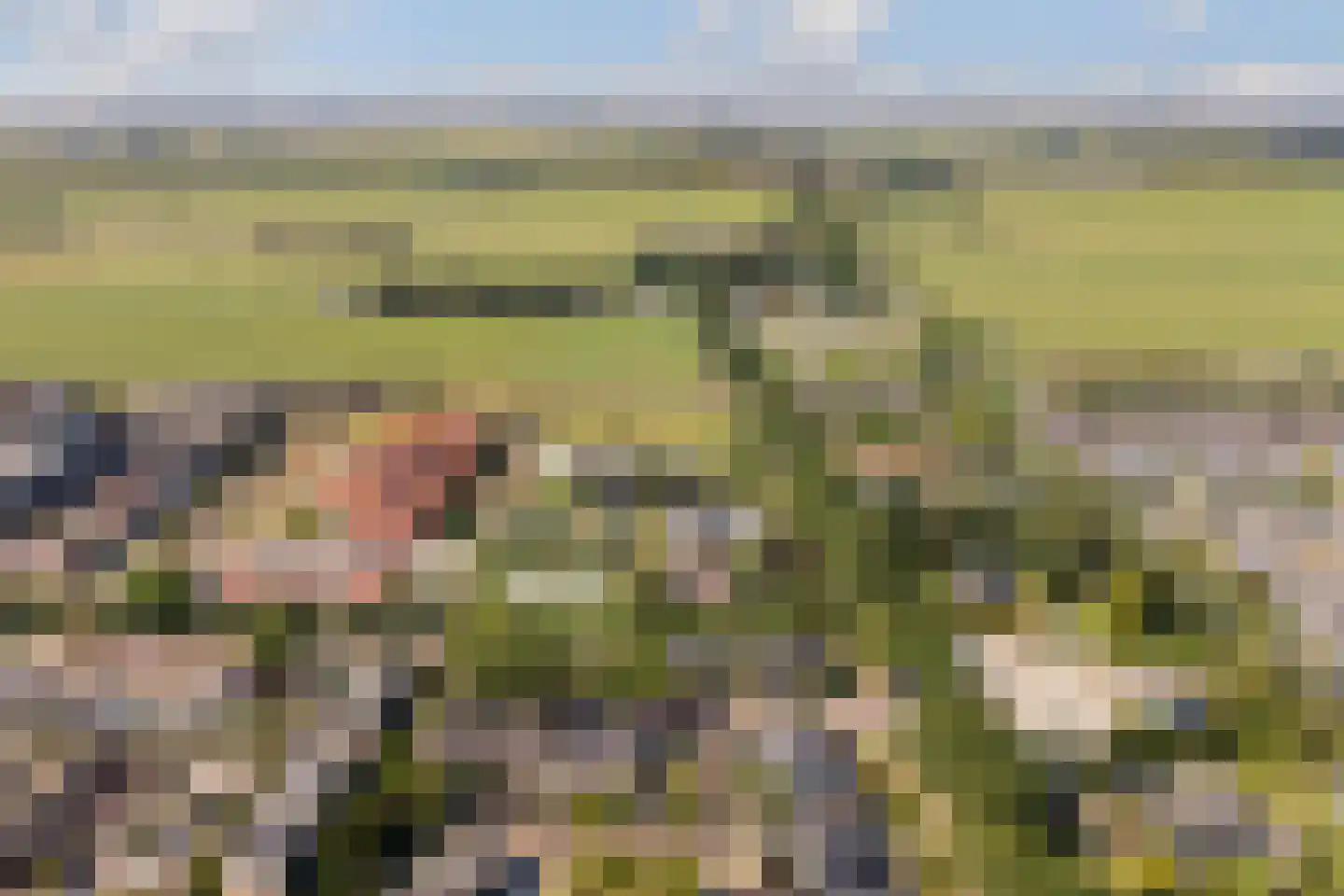 Weidezoom 3 Moordrecht thumbnail 58