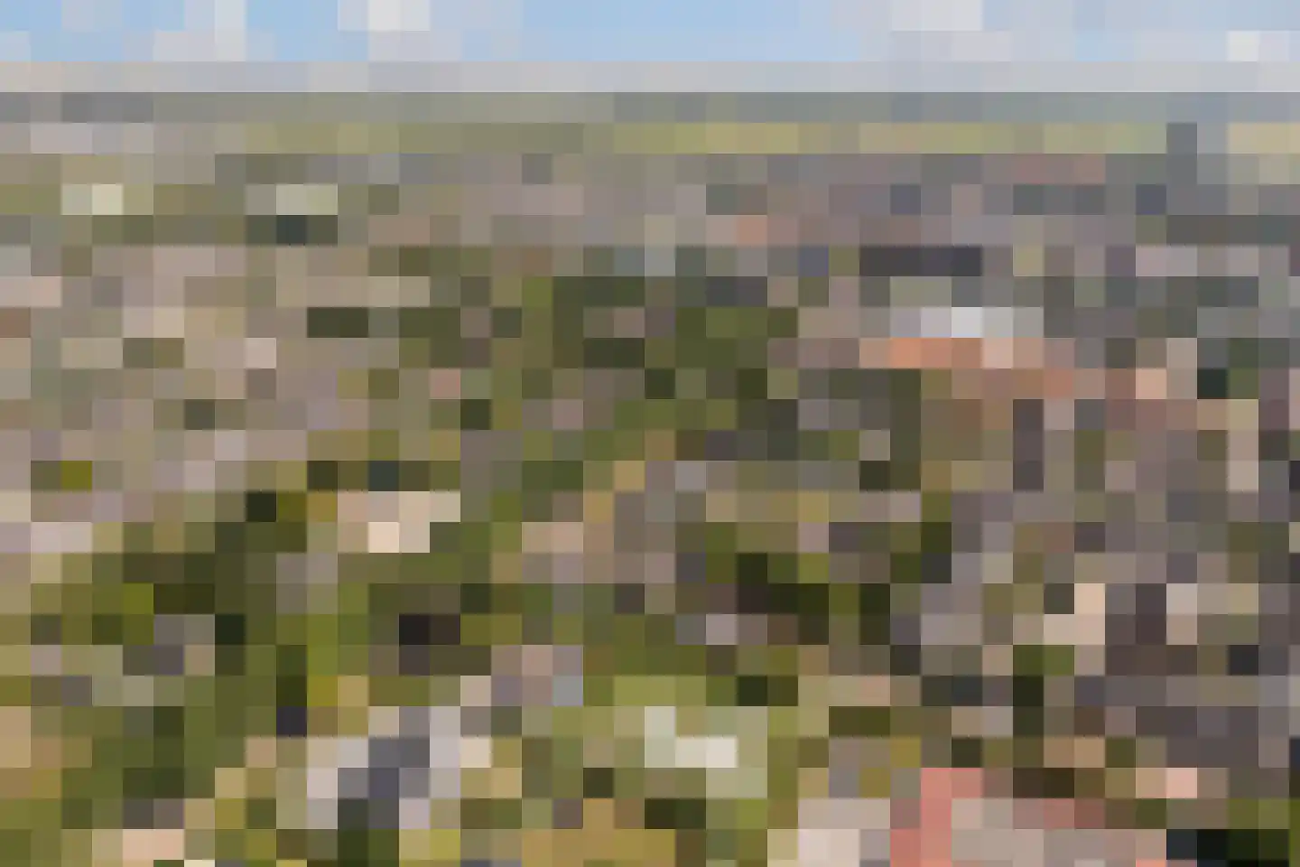 Weidezoom 3 Moordrecht thumbnail 59