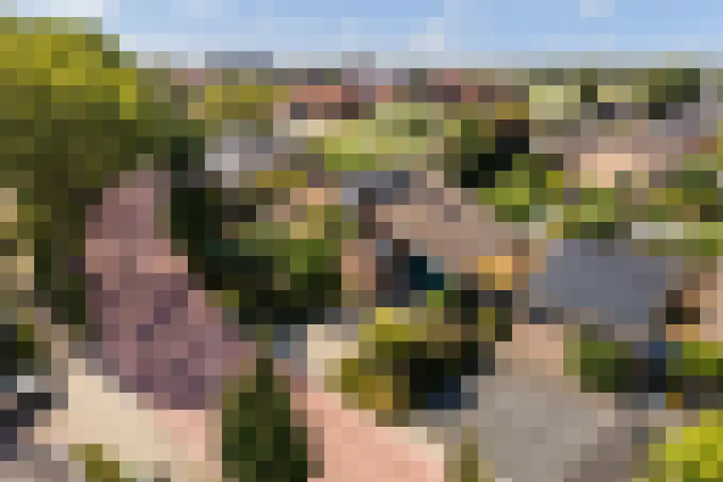 Weidezoom 3 Moordrecht thumbnail 60