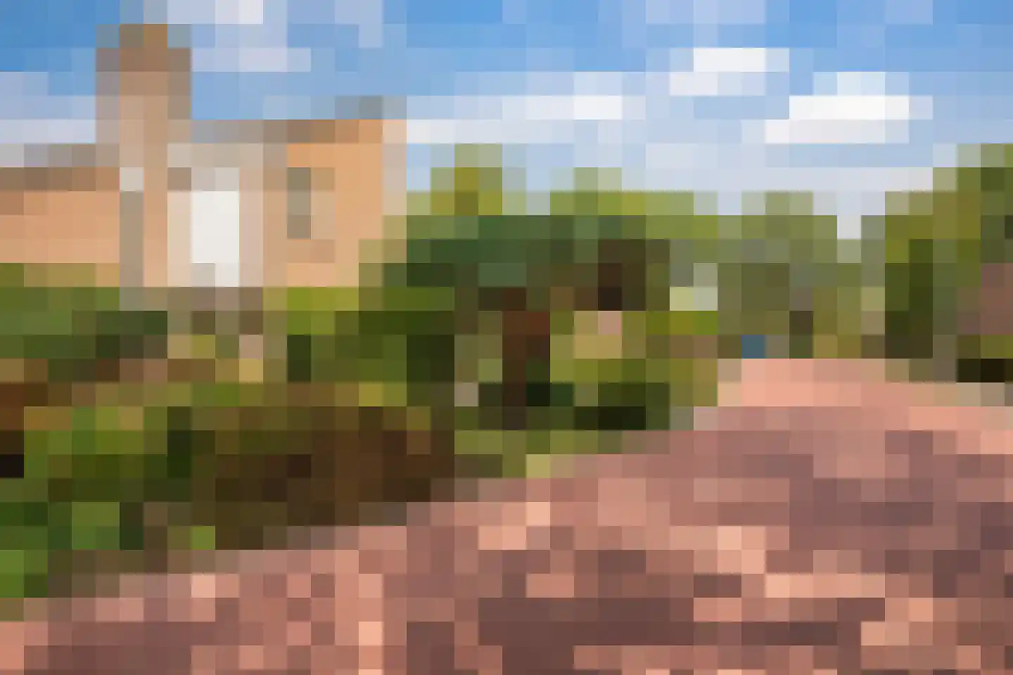 Weidezoom 3 Moordrecht thumbnail 61