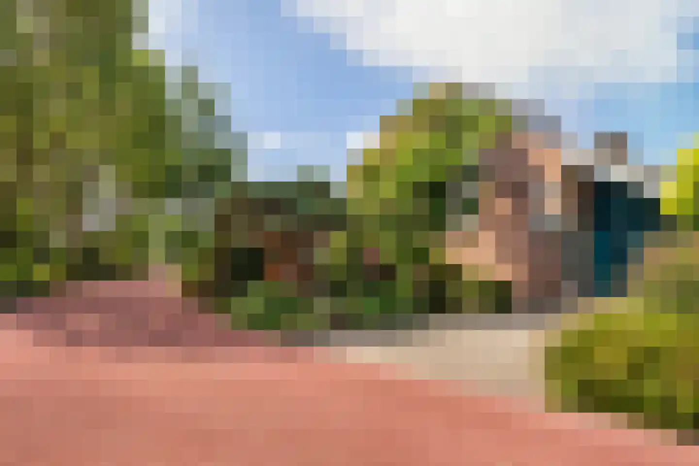 Weidezoom 3 Moordrecht thumbnail 8