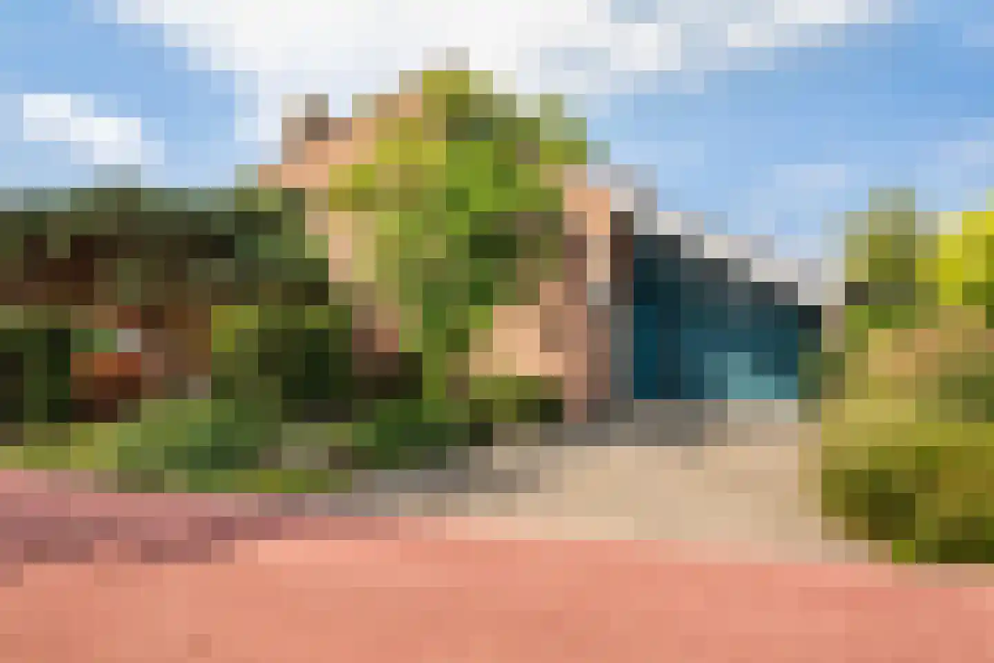 Weidezoom 3 Moordrecht thumbnail 9