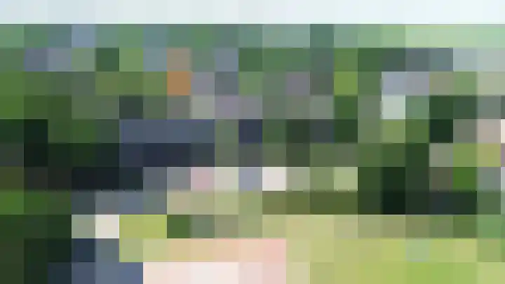 Weidezoom 32 in Waddinxveen