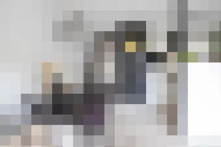 Weidezoom 32 Waddinxveen thumbnail 13