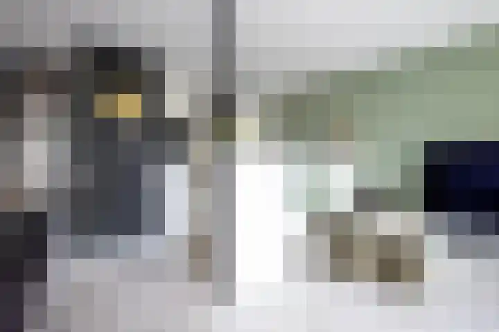 Weidezoom 32 Waddinxveen thumbnail 14