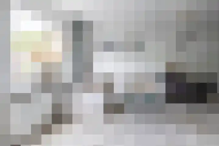 Weidezoom 32 Waddinxveen thumbnail 15