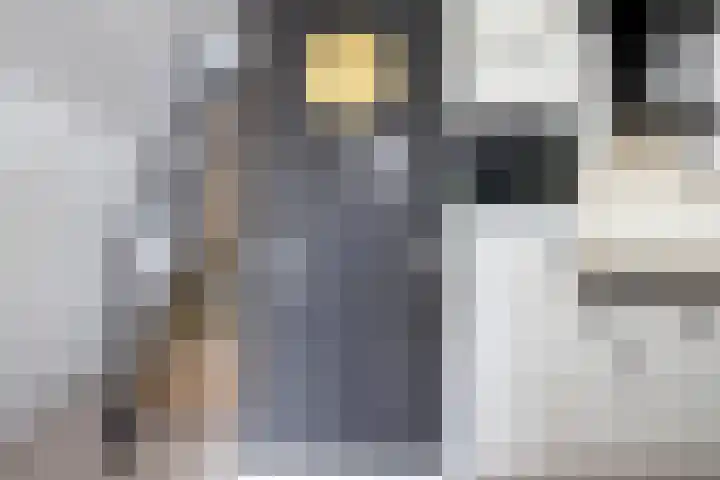 Weidezoom 32 Waddinxveen thumbnail 16