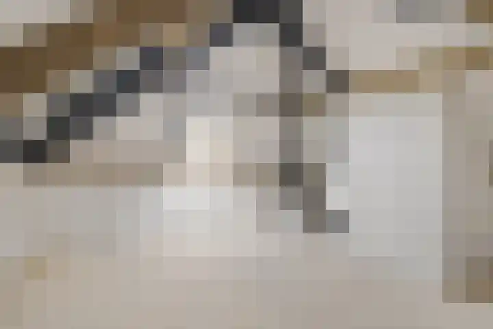 Weidezoom 32 Waddinxveen thumbnail 17