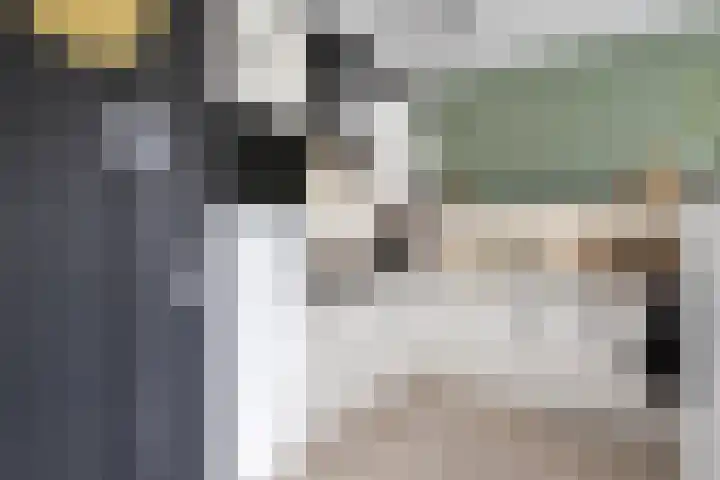 Weidezoom 32 Waddinxveen thumbnail 17