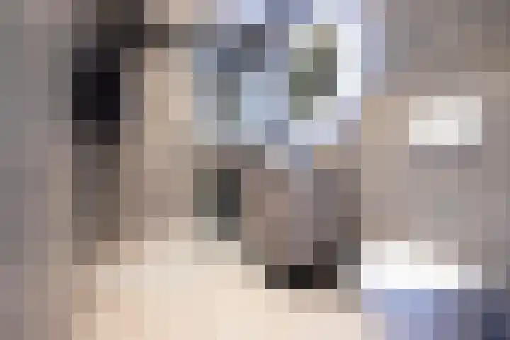 Weidezoom 32 Waddinxveen thumbnail 21
