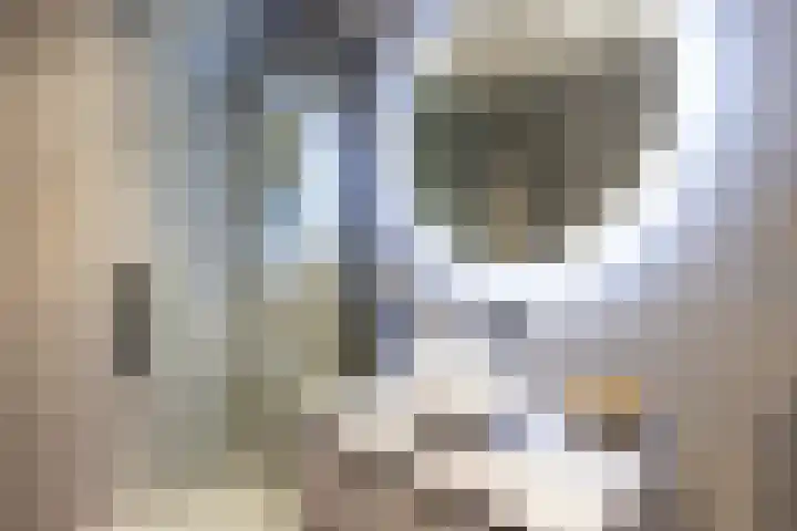 Weidezoom 32 Waddinxveen thumbnail 22