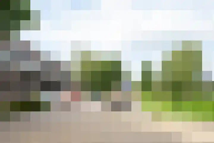 Weidezoom 32 Waddinxveen thumbnail 28