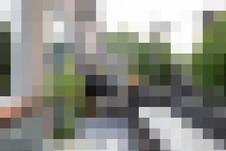 Weidezoom 32 Waddinxveen foto 3