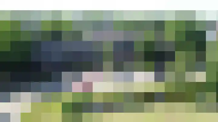 Weidezoom 32 Waddinxveen thumbnail 34