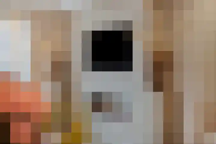 Weidezoom 32 Waddinxveen thumbnail 38