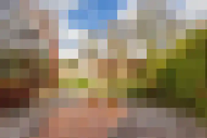 Weidezoom 33 Waddinxveen thumbnail 21