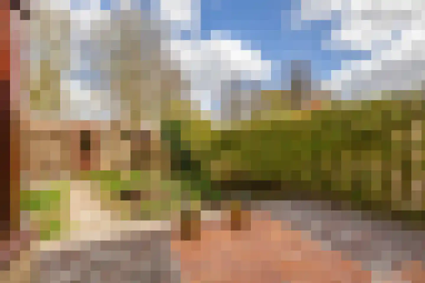 Weidezoom 33 Waddinxveen thumbnail 24