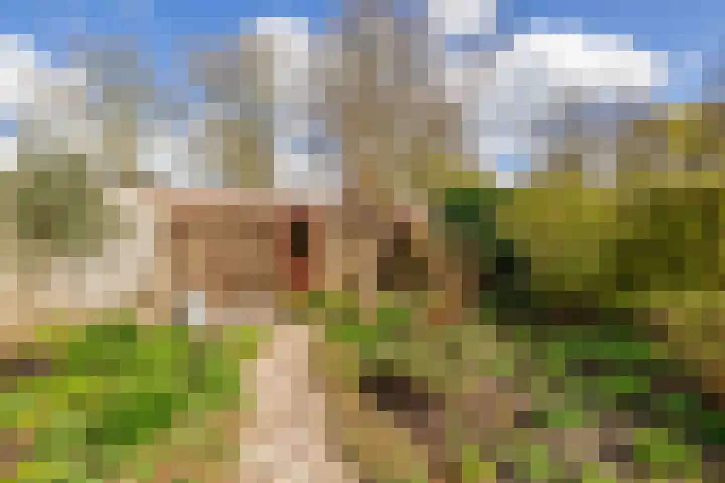 Weidezoom 33 Waddinxveen thumbnail 25