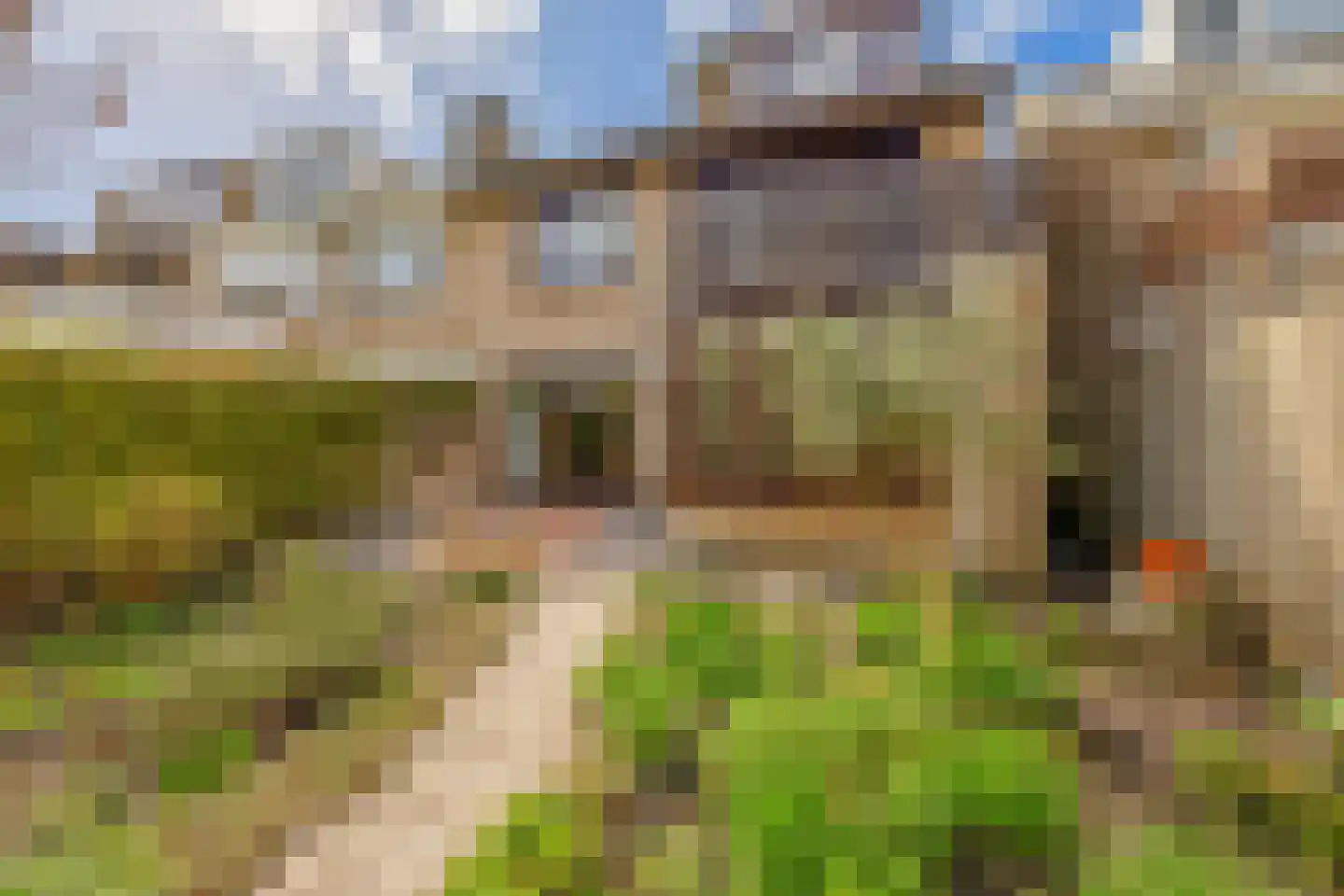 Weidezoom 33 Waddinxveen thumbnail 26