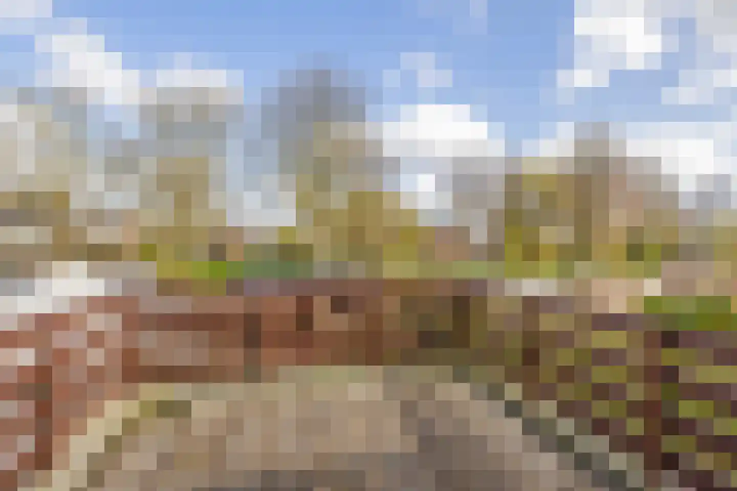 Weidezoom 33 Waddinxveen thumbnail 31