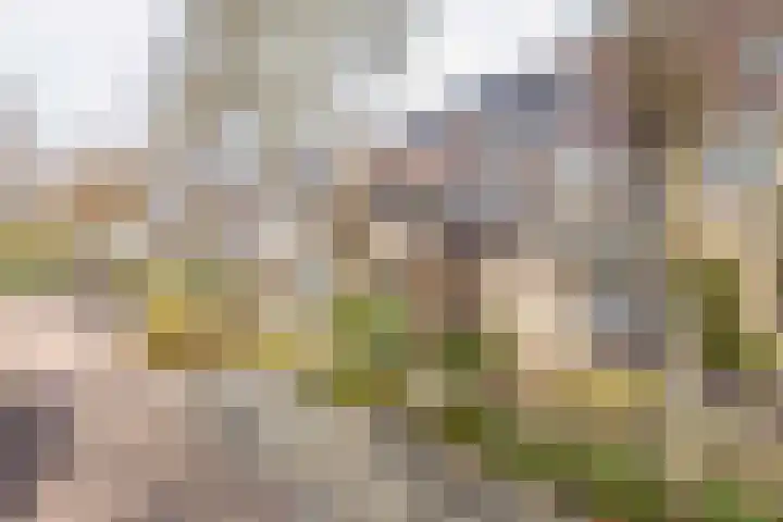 Weidezoom 33 Waddinxveen thumbnail 42