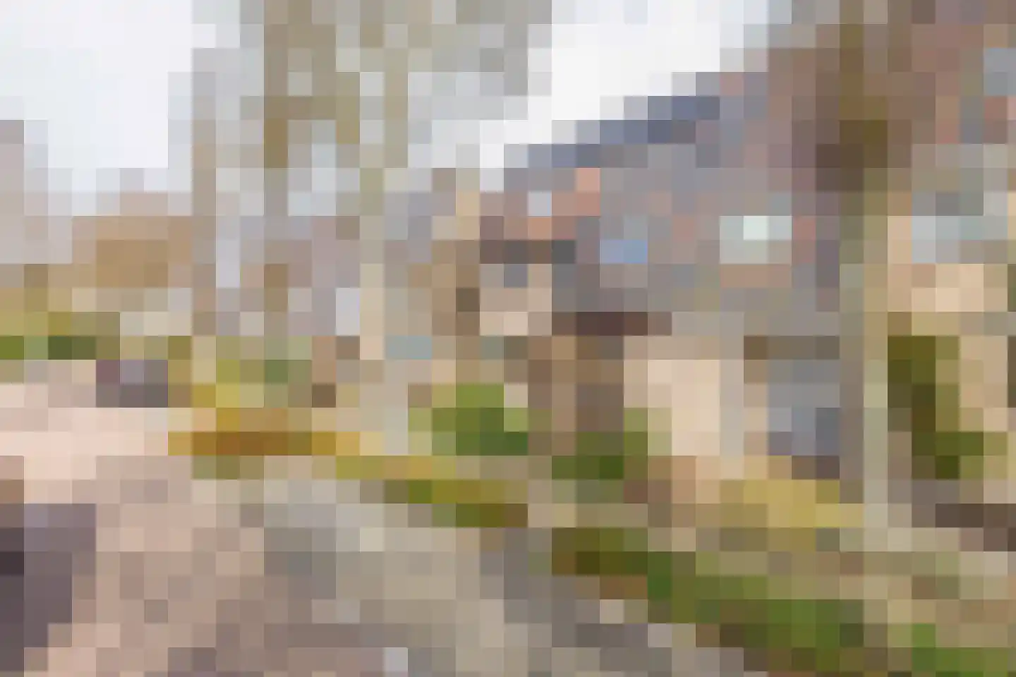 Weidezoom 33 Waddinxveen thumbnail 43