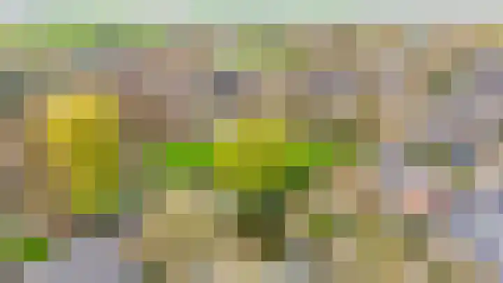Weidezoom 33 Waddinxveen thumbnail 43