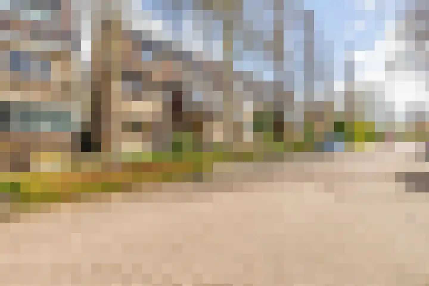 Weidezoom 33 Waddinxveen thumbnail 44