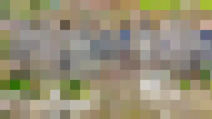 Weidezoom 33 Waddinxveen thumbnail 45