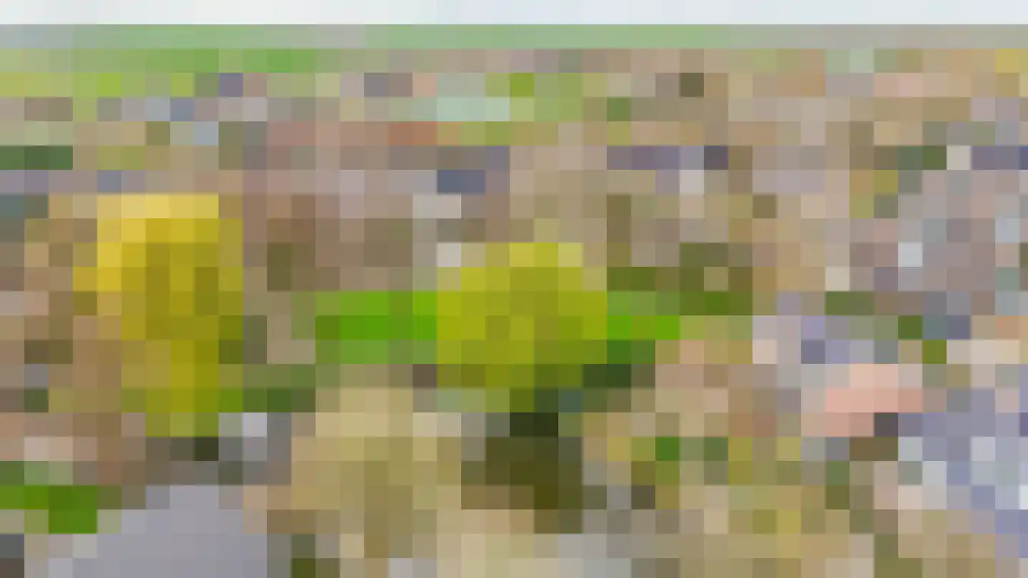 Weidezoom 33 Waddinxveen thumbnail 45