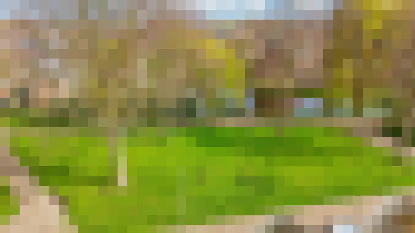 Weidezoom 33 Waddinxveen thumbnail 46