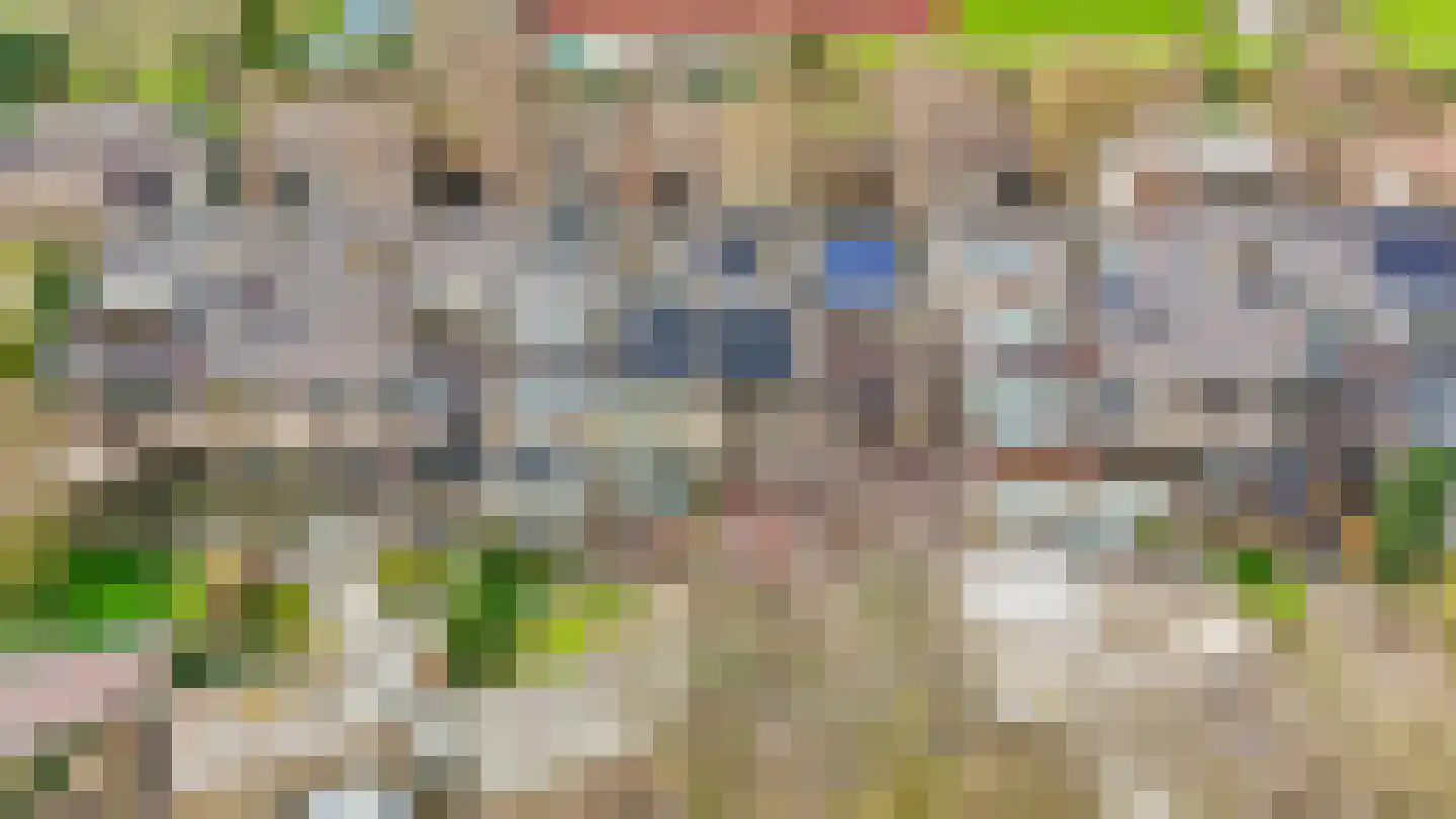 Weidezoom 33 Waddinxveen thumbnail 47