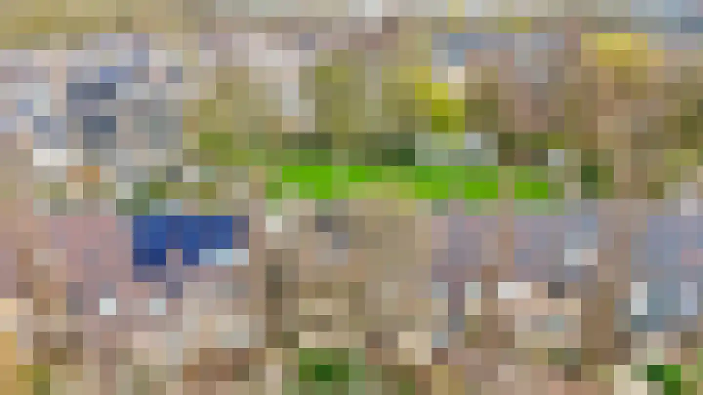 Weidezoom 33 Waddinxveen thumbnail 49