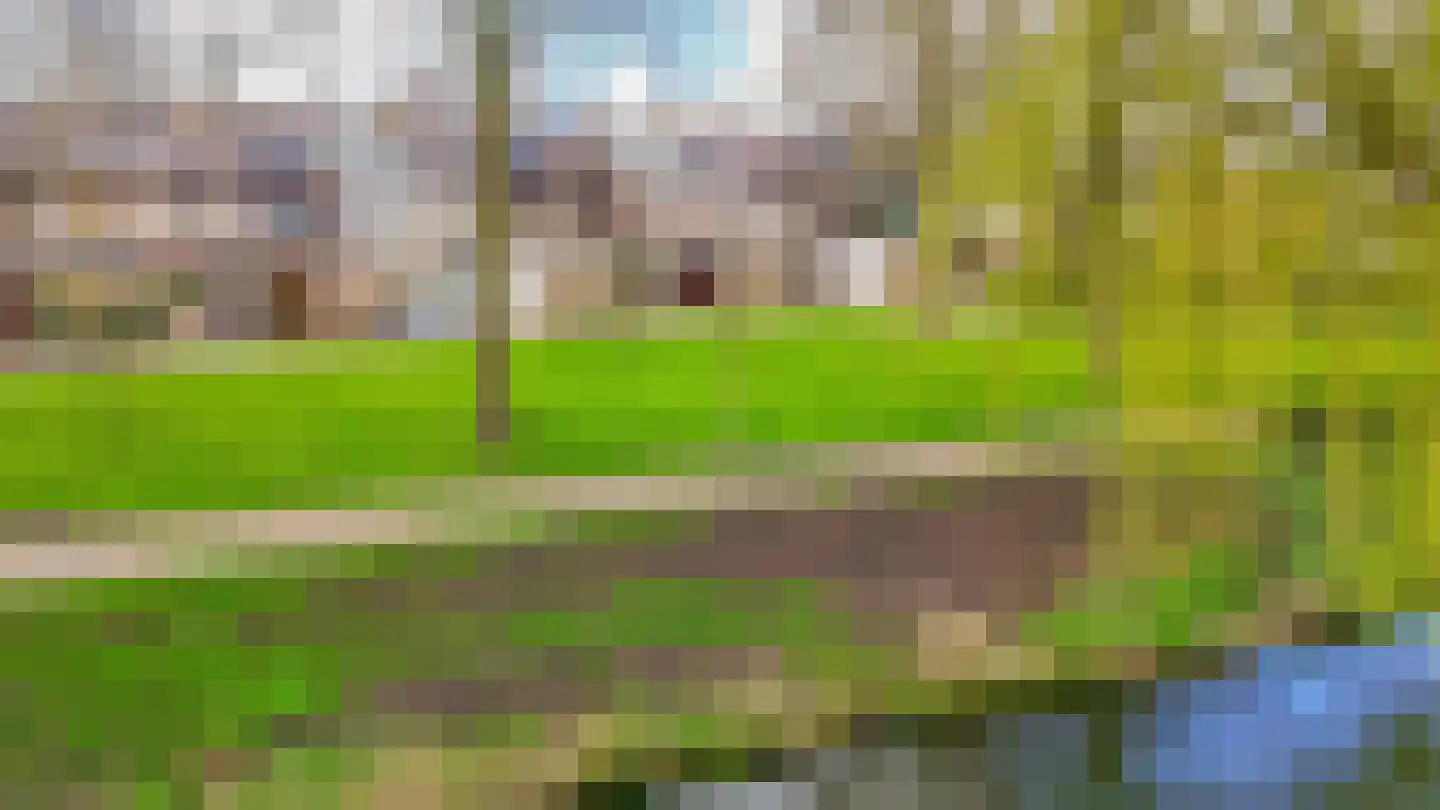 Weidezoom 33 Waddinxveen thumbnail 51