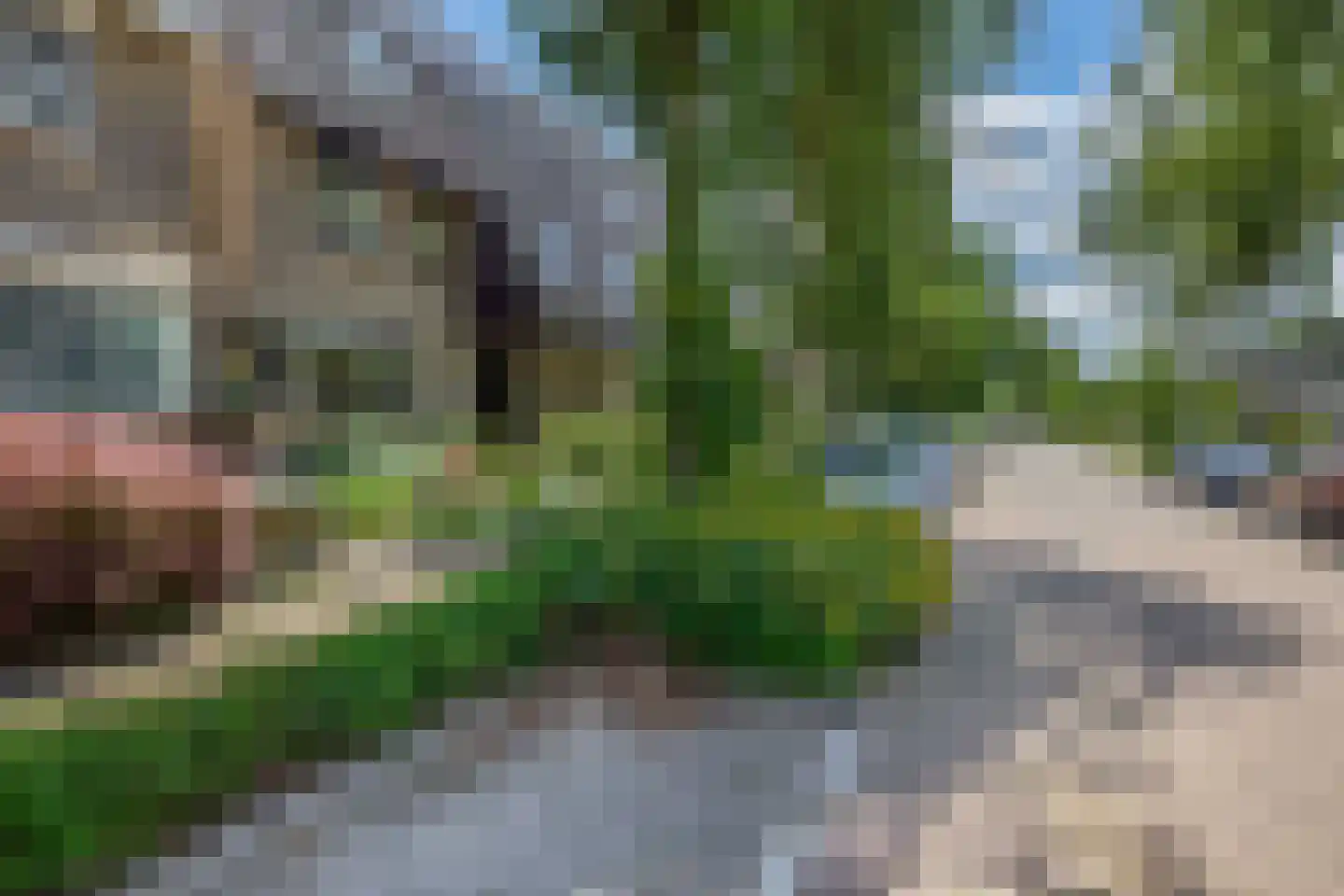 Weidezoom 33 Waddinxveen thumbnail 53