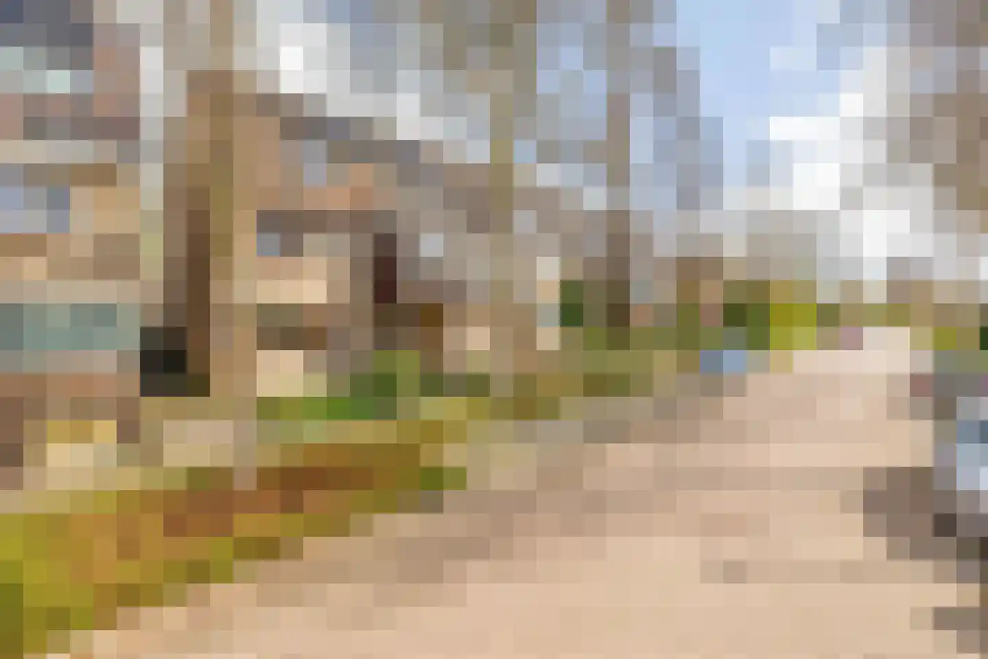 Weidezoom 33 Waddinxveen thumbnail 60