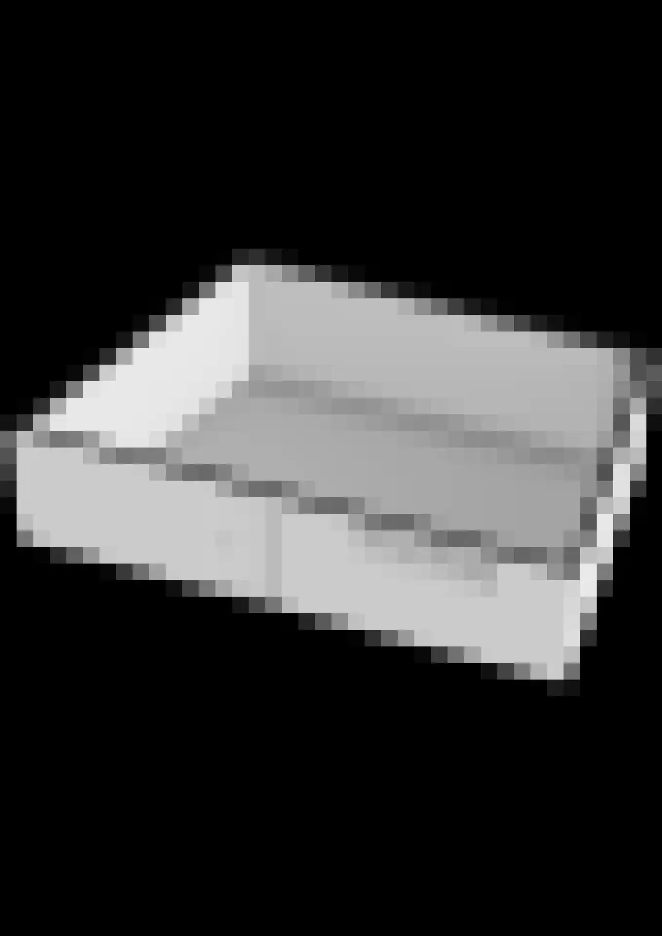 Weidezoom 33 Waddinxveen thumbnail 63
