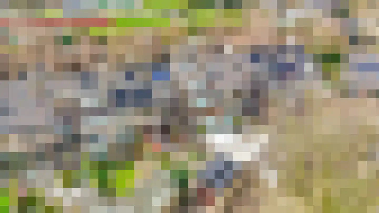 Weidezoom 33 Waddinxveen thumbnail 7