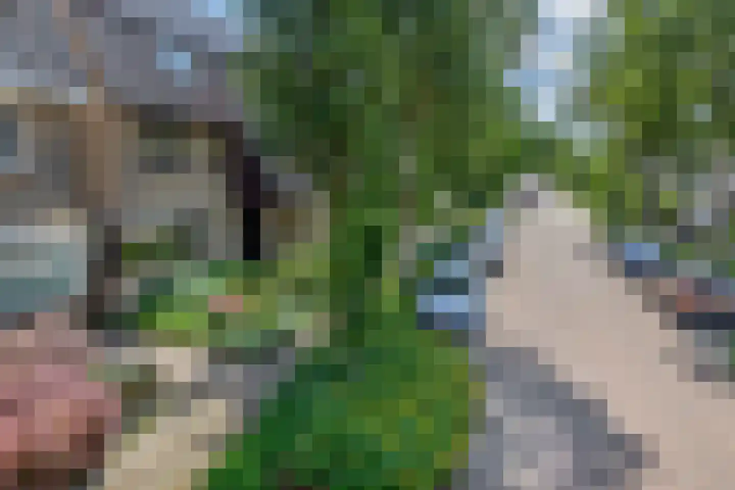 Weidezoom 33 Waddinxveen thumbnail 8