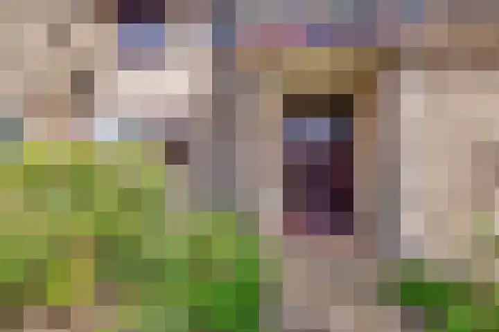 Weidezoom 33 Waddinxveen thumbnail 9