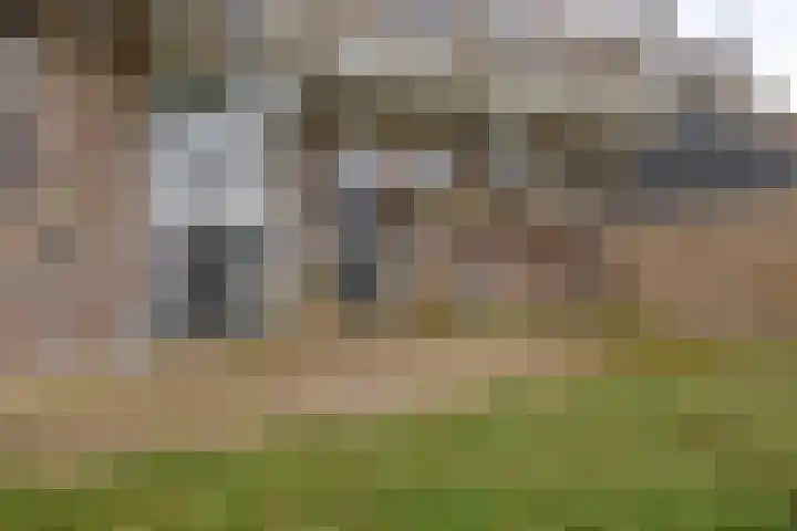 Weidezoom 34 en Waddinxveen