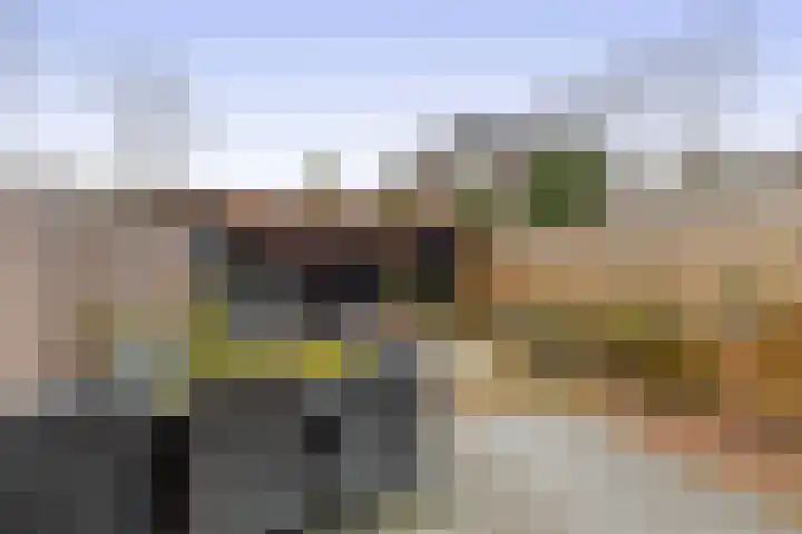 Weidezoom 34 Waddinxveen thumbnail 15