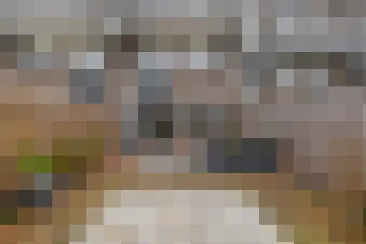 Weidezoom 34 Waddinxveen thumbnail 17