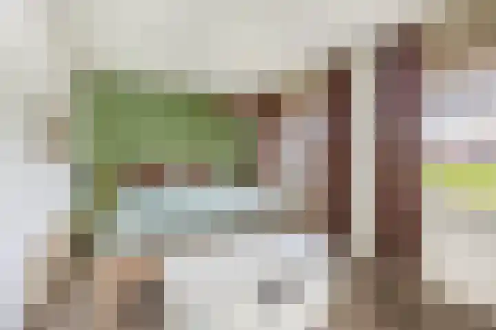 Weidezoom 34 Waddinxveen thumbnail 19