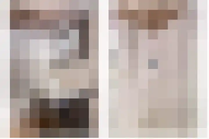 Weidezoom 34 Waddinxveen thumbnail 22