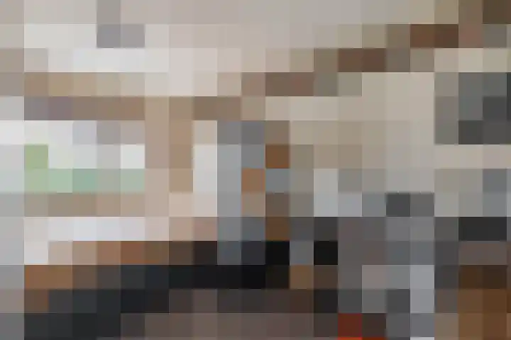 Weidezoom 34 Waddinxveen thumbnail 23