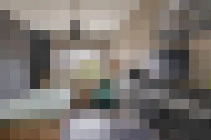 Weidezoom 34 Waddinxveen thumbnail 24