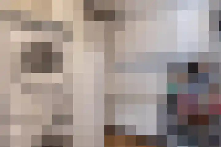 Weidezoom 34 Waddinxveen thumbnail 25